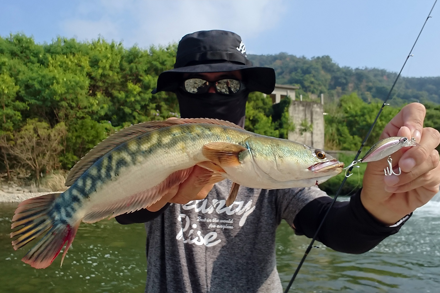 HUMP MINNOW 55S (2)