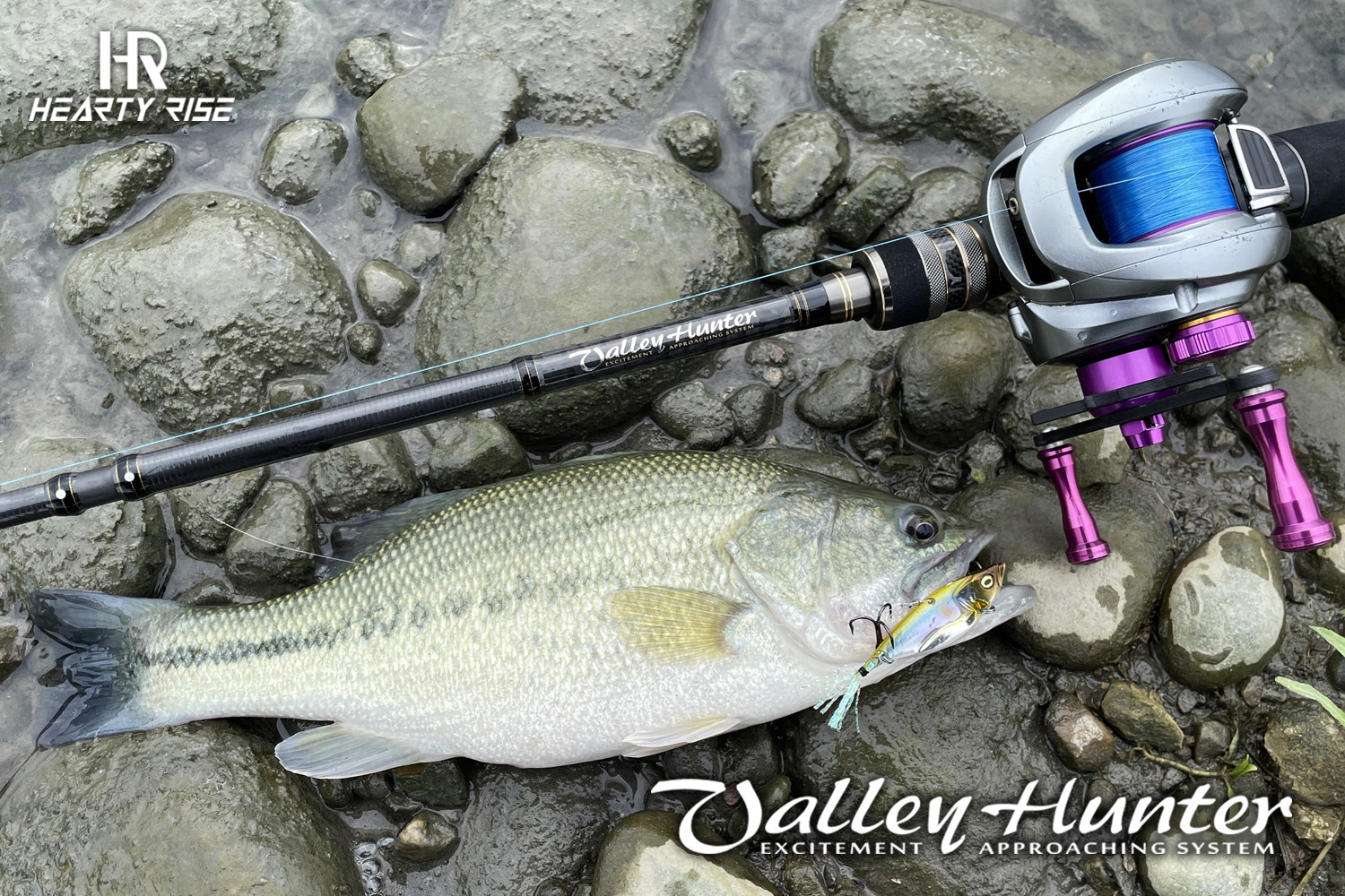 20220125 1500x1000-2