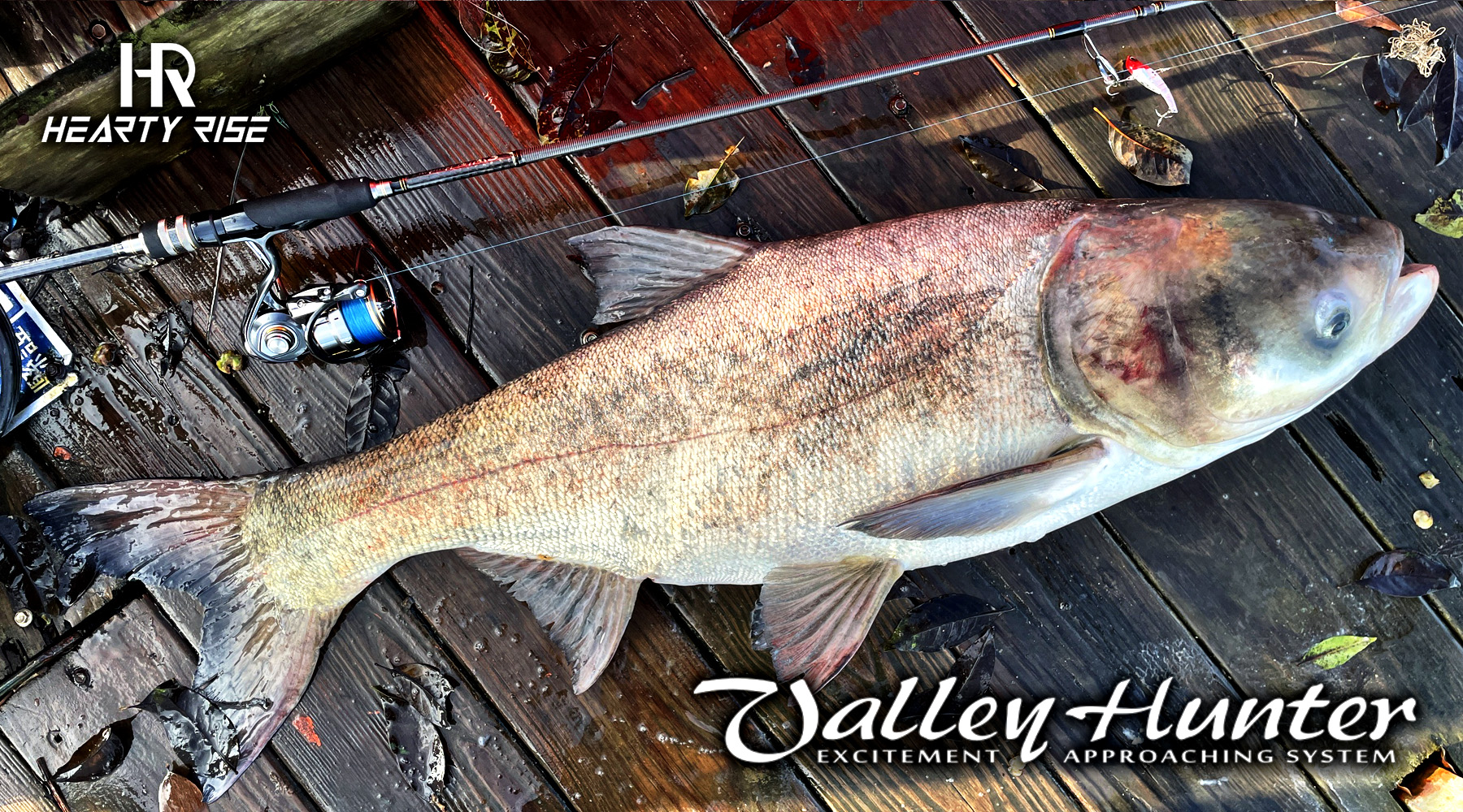 20220523 1800x1000-2