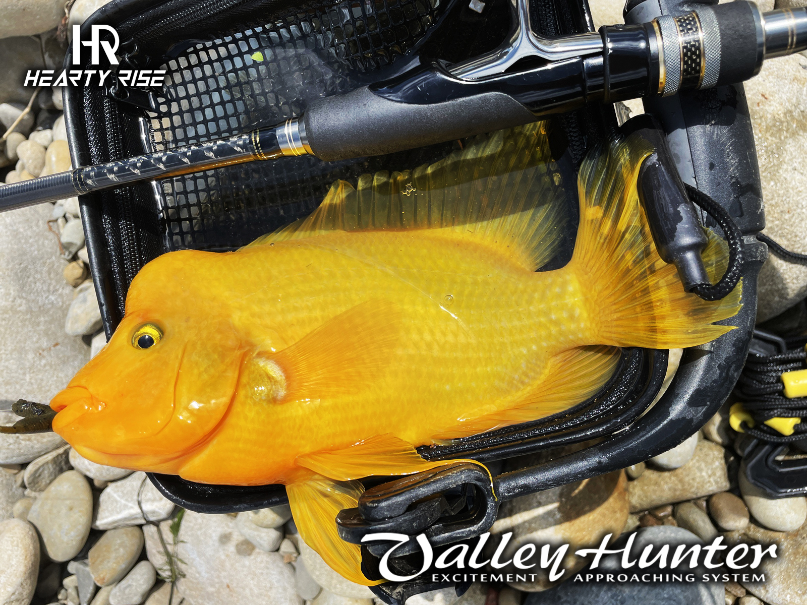 20220606 1600x1200-1