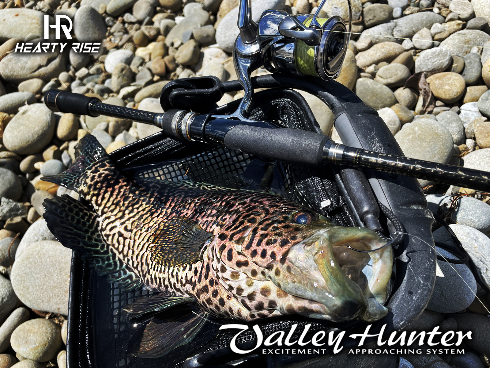 20220606 1600x1200-2