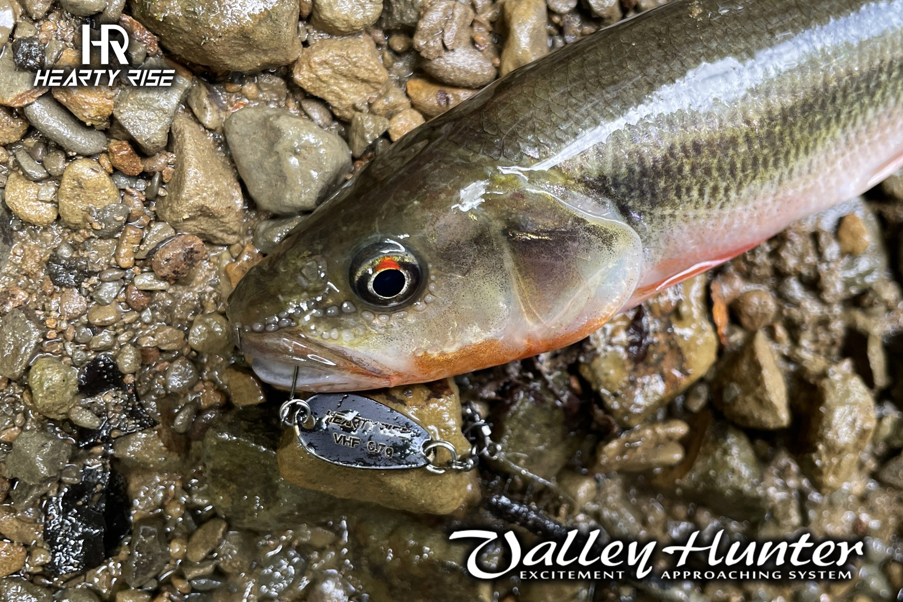 20220620 1800x1200-3