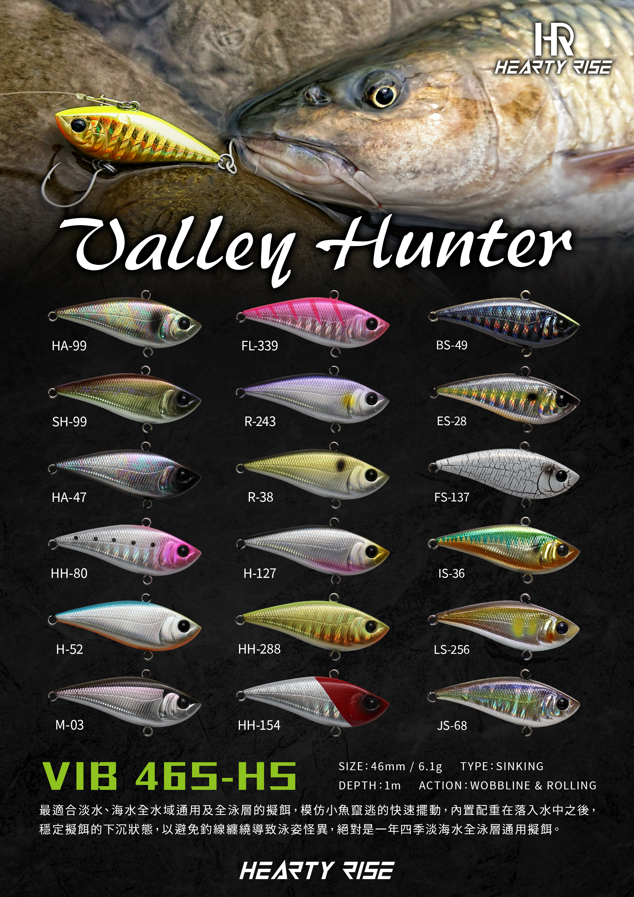 VIB 46S-HS newcolor 20230605 A4-3