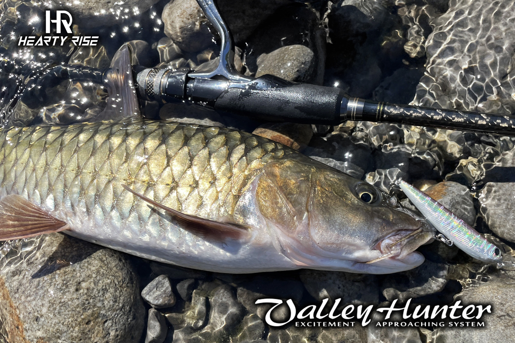 20220726 1800x1200-2