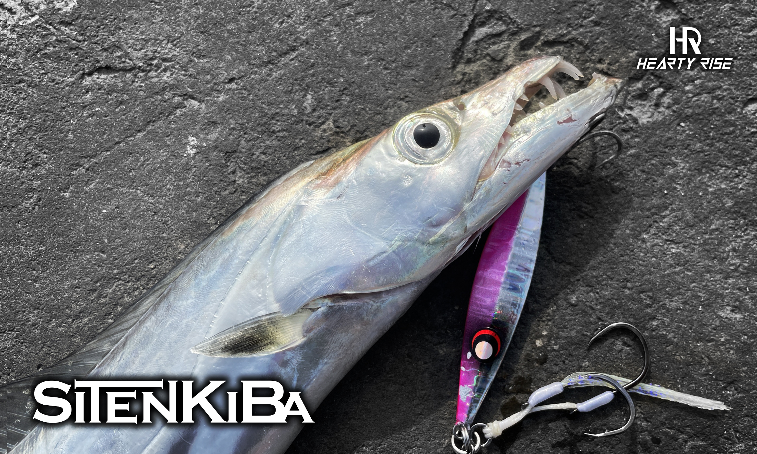 221115 AMO 2500x1500