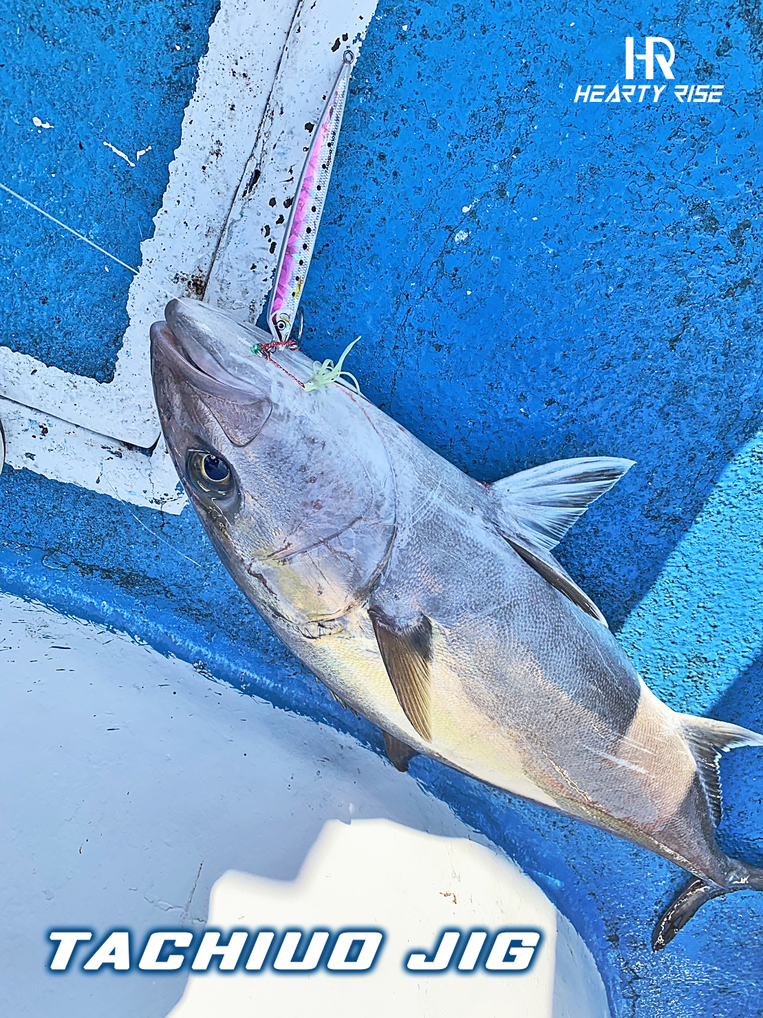 20230613 TACHIUO JIG-2